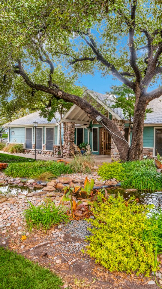 a home with a large garden and trees at The  Reid Apartments